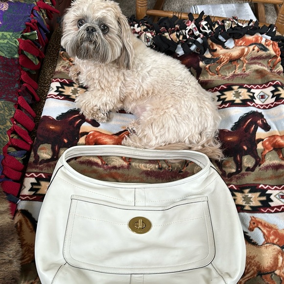 Coach large ivory hobo with wallet - Picture 2 of 16